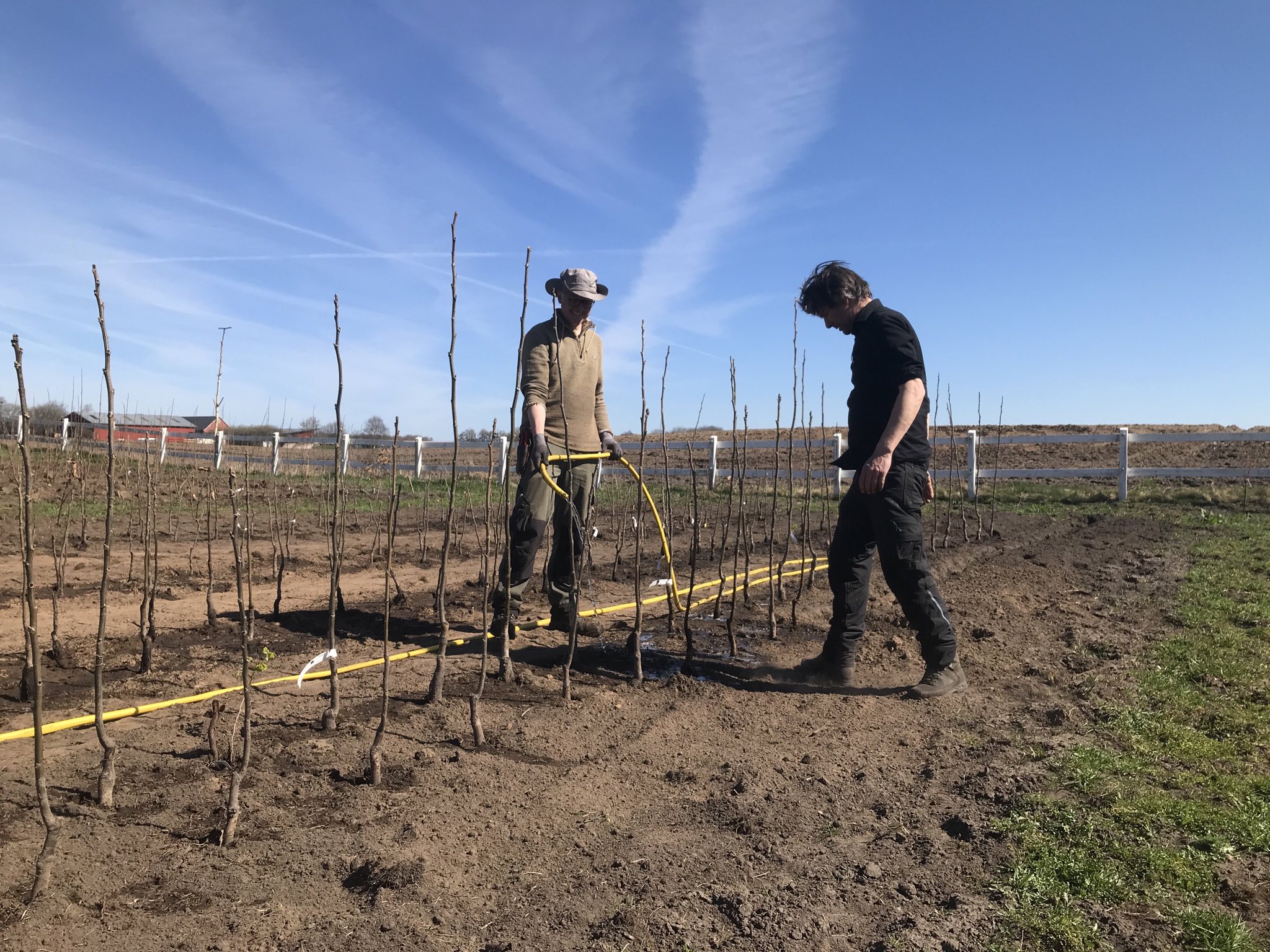 Planting in April